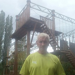 , 53 , 
