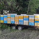 ���� ���������, ����, 68 ��� - ��������� 8 ������ 2025 � ������ ���� ����������