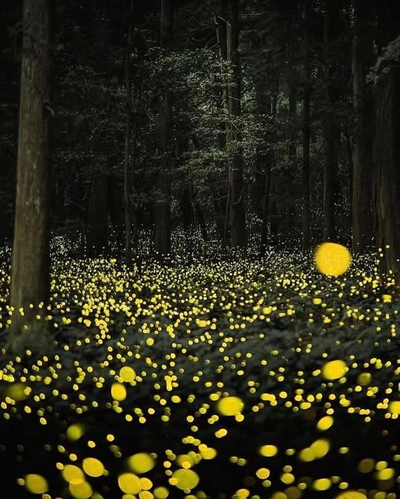  .   ,    ,   .  ... - 4