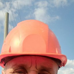 , 58 , 