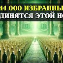  ,  , 46  -  20  2025    