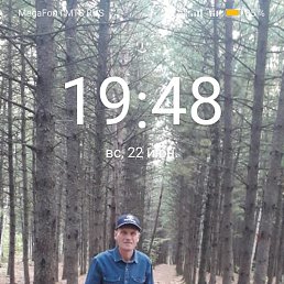 , 44 , 