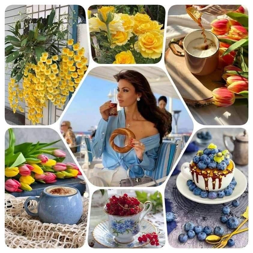      ,  ,  .  ,  ,  ,  ...