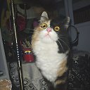 ���� �������, �����-��������� - ��������� 24 ������ 2025 � ������ ������ ��������