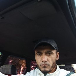 , 32, 