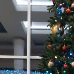 , 63, 