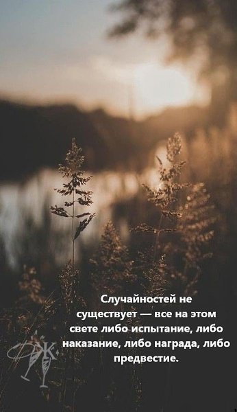 .. - 19  2025  18:19