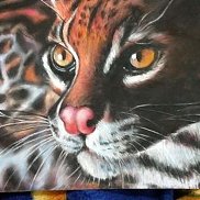 �����, 45 ���, ������