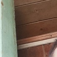 , 28 , 