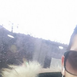 ������, ��������, 26 ���