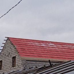 �����, ���������, 49 ���