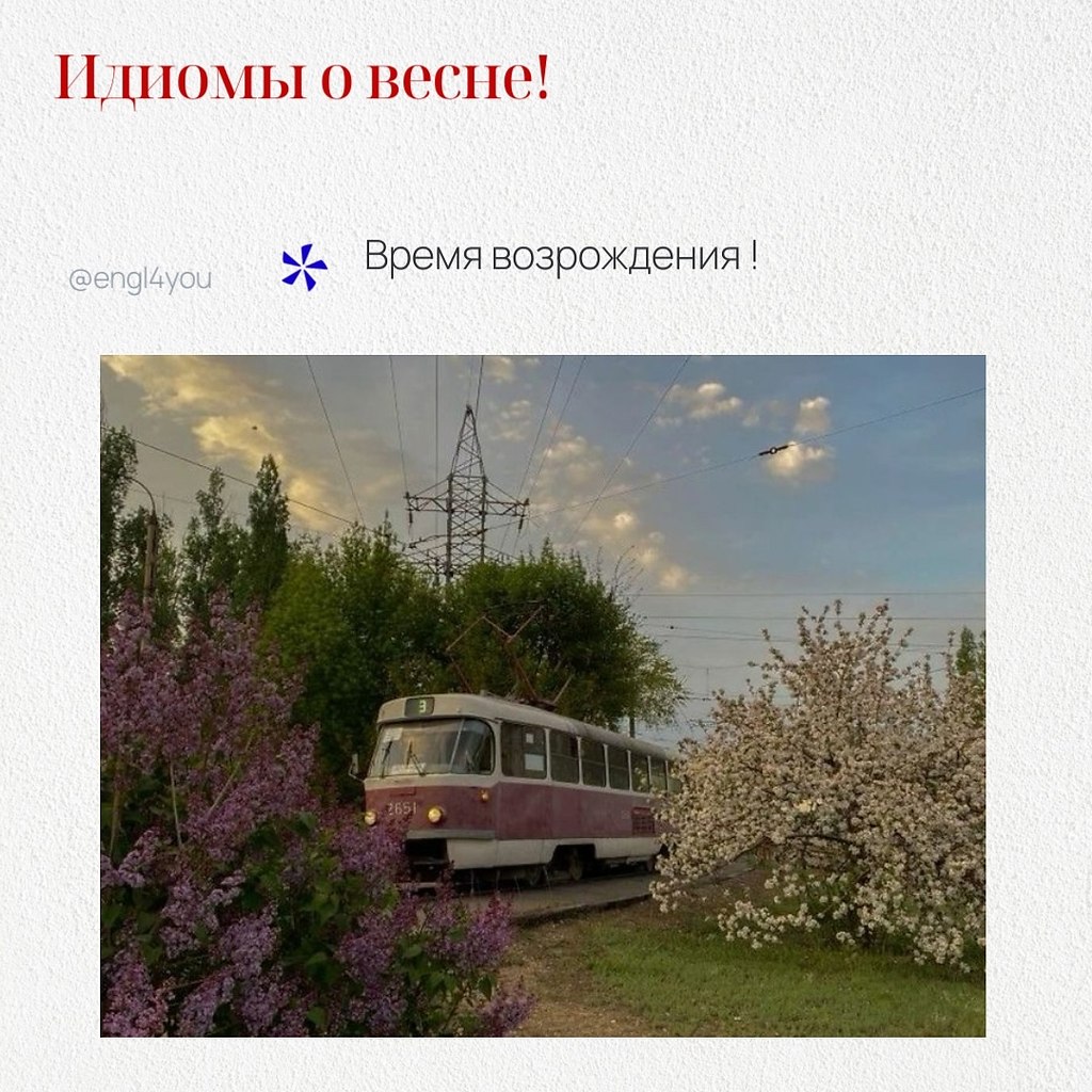   ,   ,   ,    : 1. Spring ...