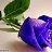 ���� M .U., ������ - ��������� 30 ������ 2026