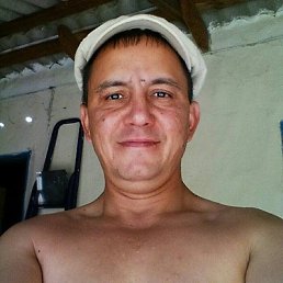 ���� �����, ������, 51 ��� - ��������� 29 ������ 2025