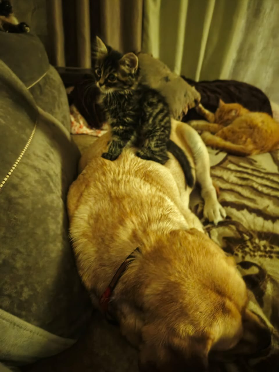 Olga - 13  2025  04:51