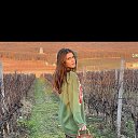 ���� �����, �����, 29 ��� - ��������� 5 ������� 2023 � ������ ���� ����������