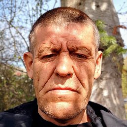 ������, ������, 51 ���