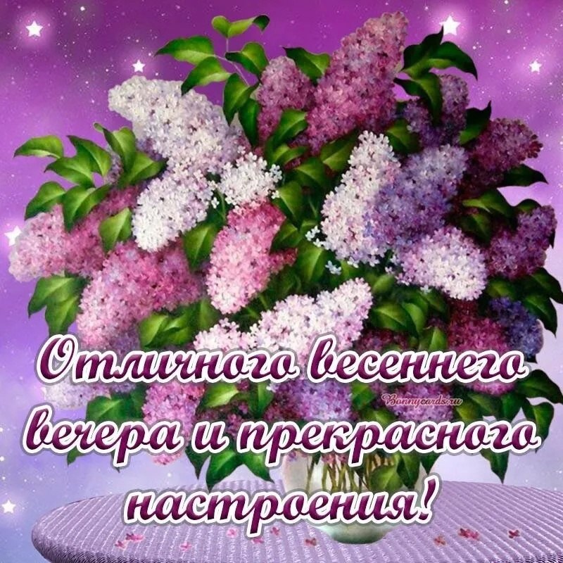   ,    . - 12  2024  19:00