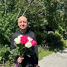  , 53,  