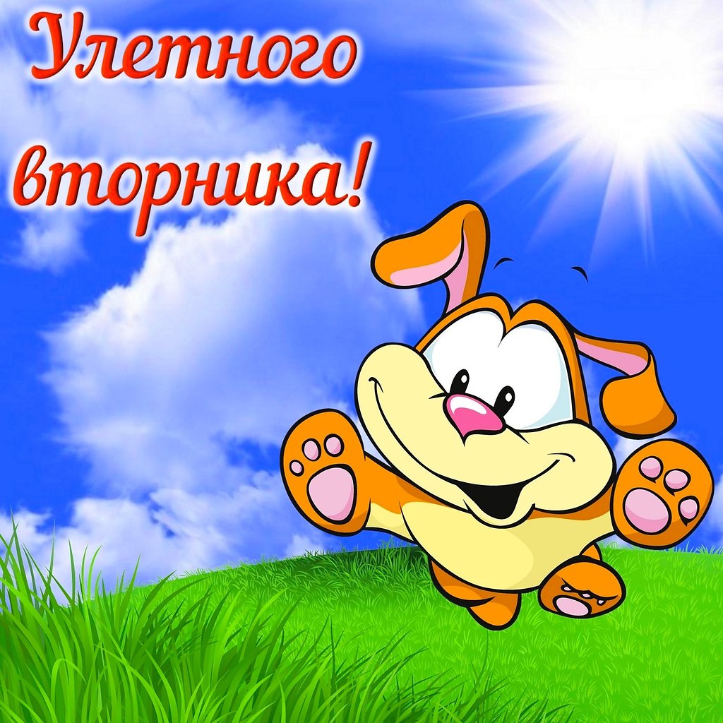   ,    . - 26  2024  22:45 - 6