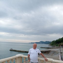 , 62, 