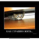 ���� ������, ���������, 46 ��� - ��������� 25 ������ 2026