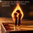 ���� ���������, ������������, 56 ��� - ��������� 26 ������� 2026 � ������ ������ ��������