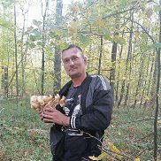 , 40 , 