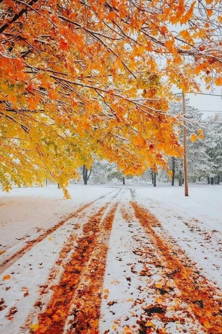   ,    ,    ,    - ...