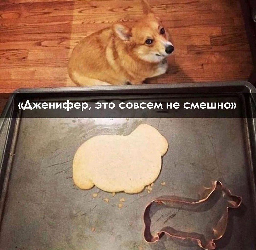    - 10  2024  22:33