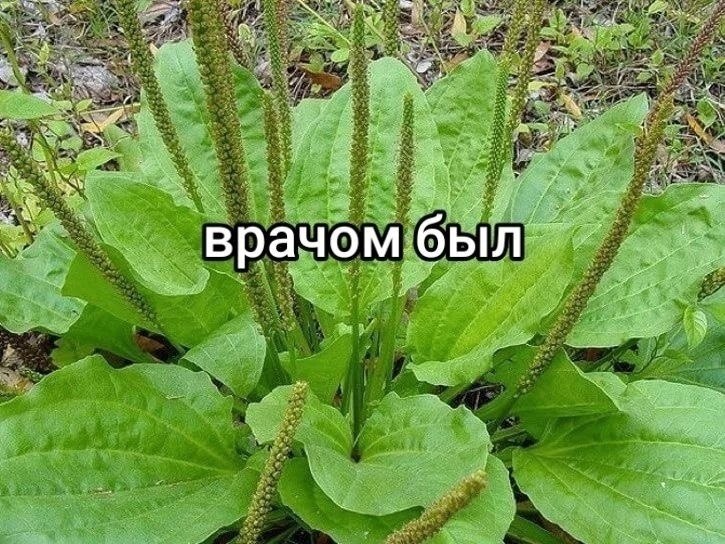    ! zdms - 4