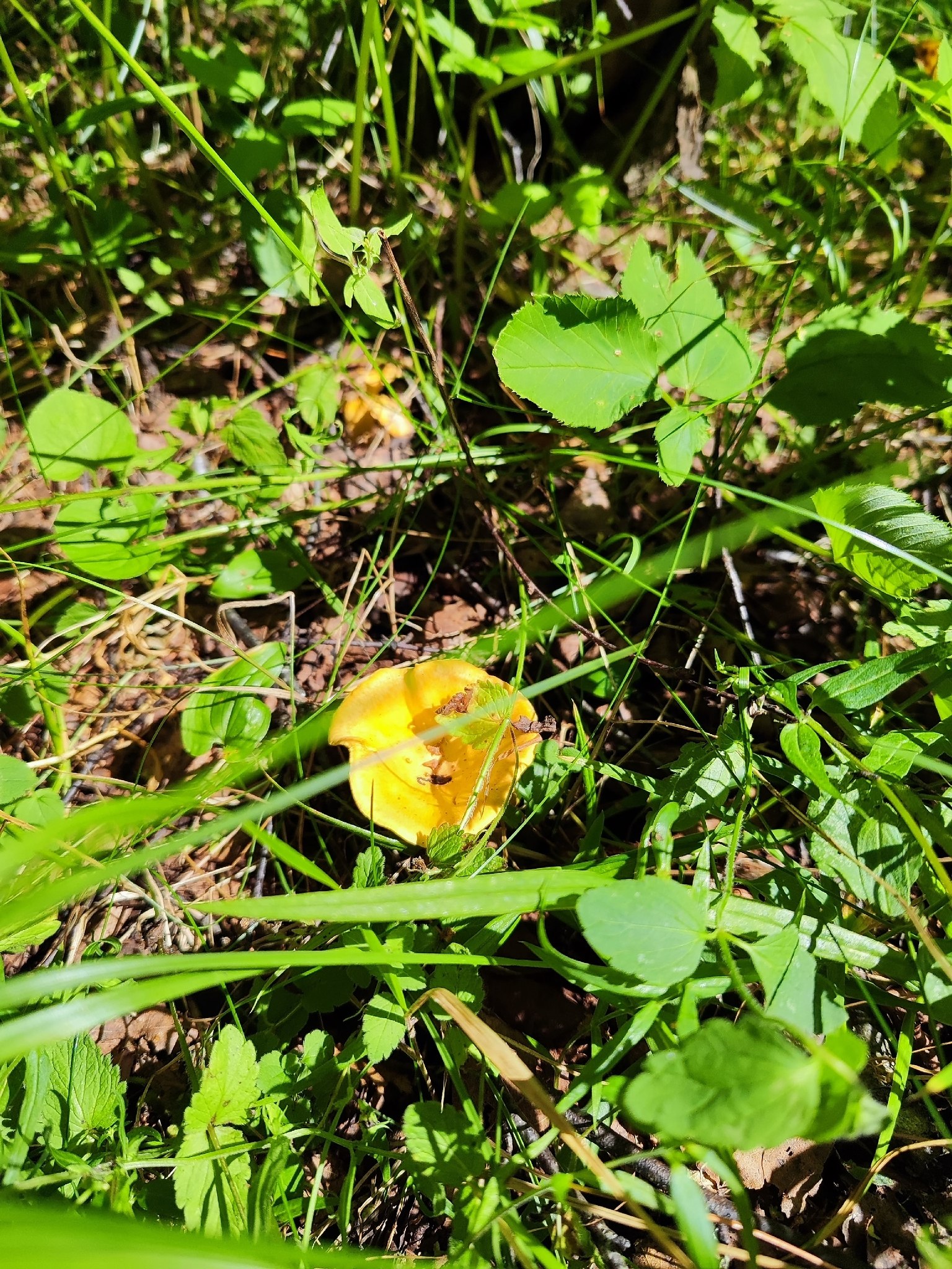   - 3  2025  14:49 - 4