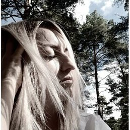 �������, 38 ���, ������