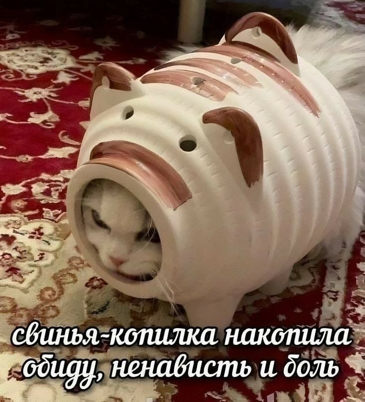   - 16  2025  20:29