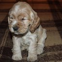 ���� Lucky Elite, ��������, 66 ��� - ��������� 16 ������� 2024 � ������ ���� ����������