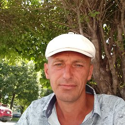 , 41, 