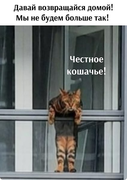 ! - 3