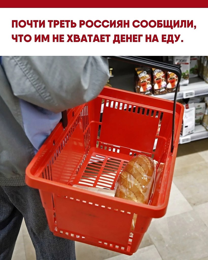  2025  31%  ,          ,   ...