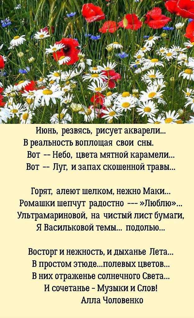   ,    . - 13  2025  19:51