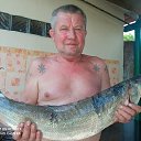 ���� �������, ���������, 64 ���� - ��������� 20 ������ 2026