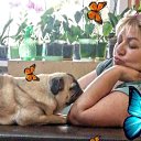 ���� ����, ����-����������� - ��������� 11 ������� 2026 � ������ ���� ����������