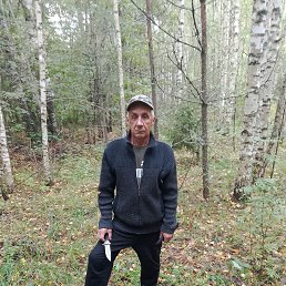 , 56 , 