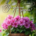 ���� �������, ���� - ��������� 7 ��� 2026 � ������ ������ ��������