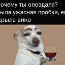���� �����, ���� - ��������� 3 �������� 2026 � ������ ������ ��������