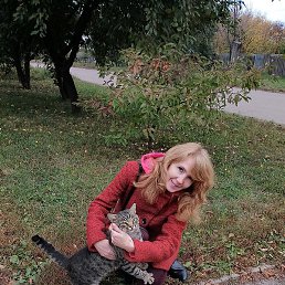 �����, �������, 40 ���