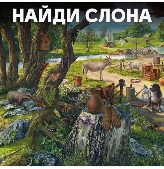  - 19  2024  14:27