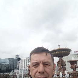 , 55, 