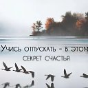 ���� ����, �����-��������� - ��������� 1 ������� 2026 � ������ ������ ��������