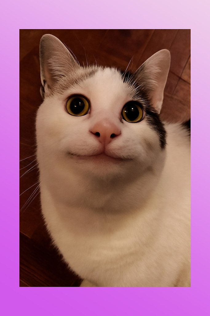        .    ,     ...