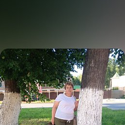 , 53, 